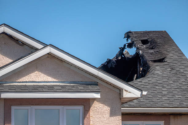 Top rated local Odor Removal specialists in Avondale, PA